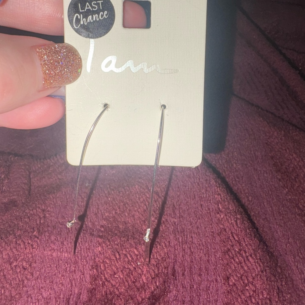 Elegant Silver  Earrings